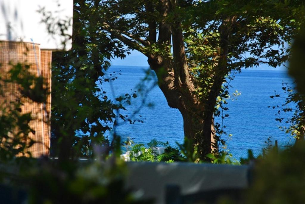 Archondissa Beach Aparthotel Therma  Buitenkant foto
