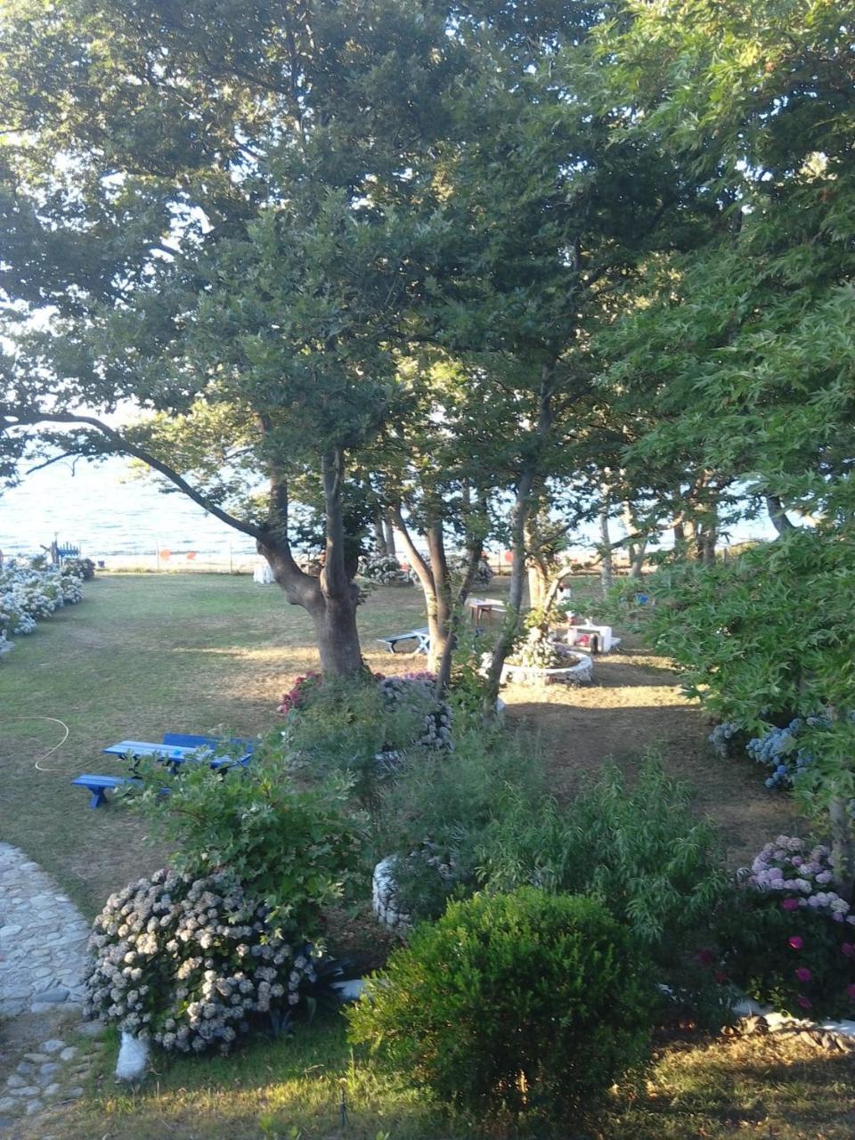 Archondissa Beach Aparthotel Therma  Buitenkant foto